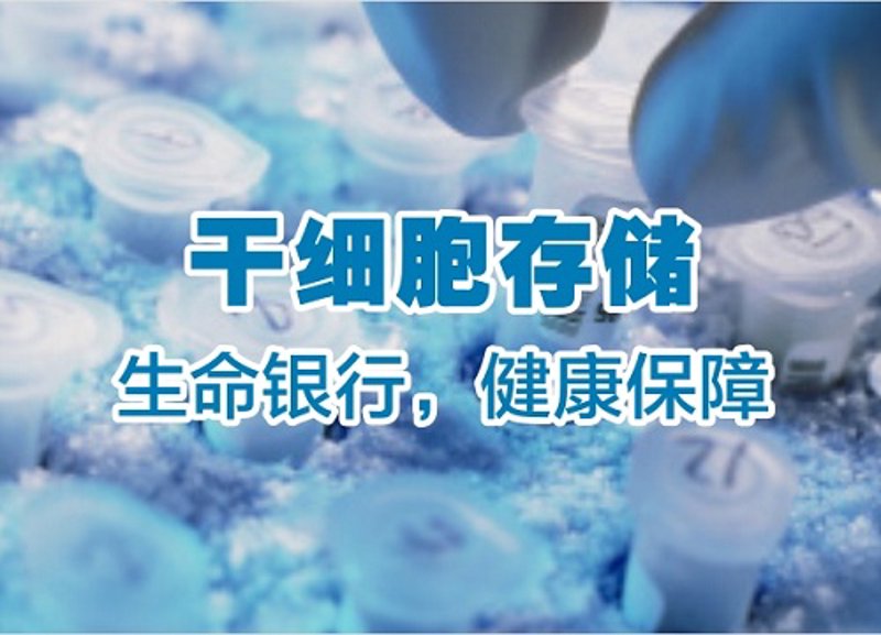 细胞治疗肿瘤：2026年最新临床数据揭示的有效率与生存期提升趋势